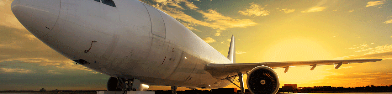 Integration Partners Flight